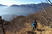 26 Il sentiero si inerpica nel bosco